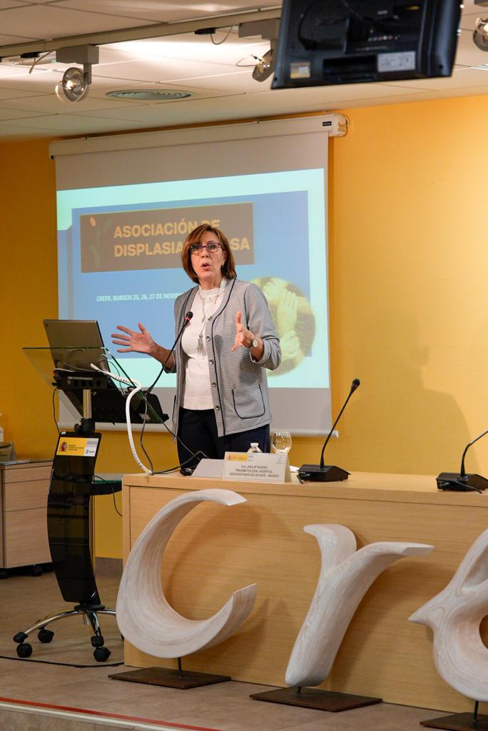 Ponencia Ana Bueno 4