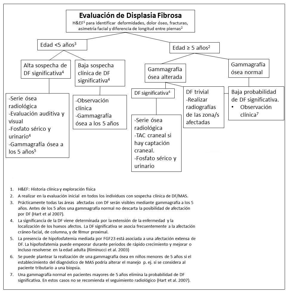 Pruebas y seguimiento recomendado tras el diagnóstico inicial en individuos con Displasia Fibrosa / Síndrome de McCune-Albright